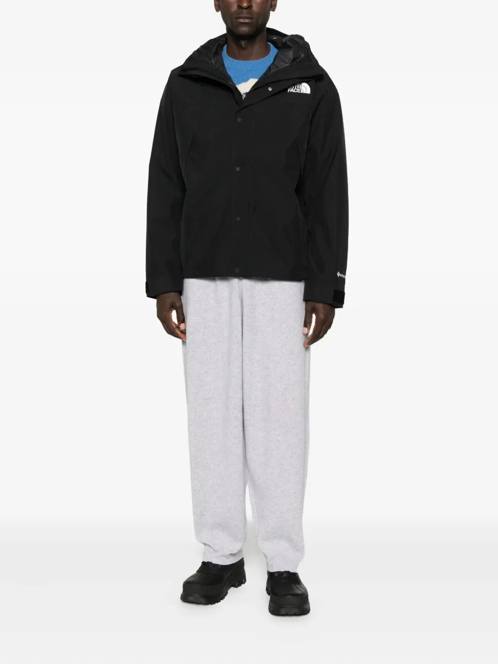 The North Face Men's GTX Mountain Jacket